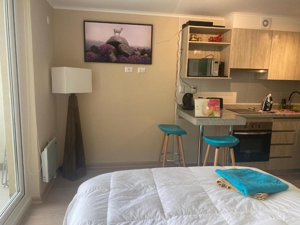 Departamento céntrico y moderno en Osorno - 4