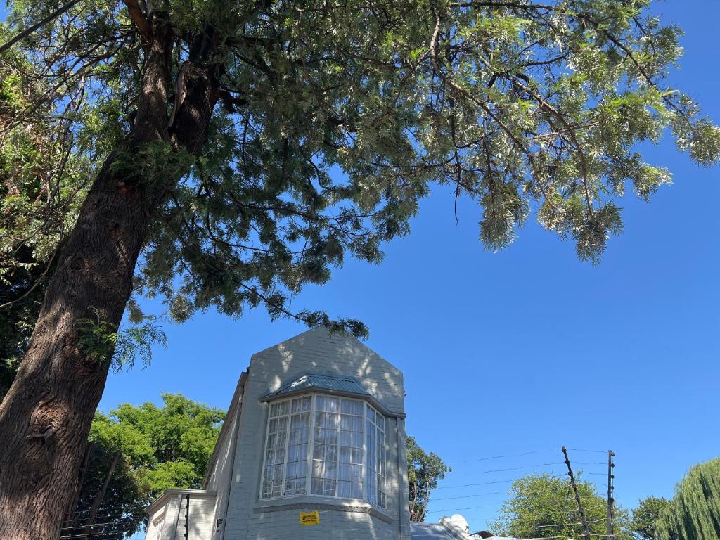 WestNova, Johannesburg