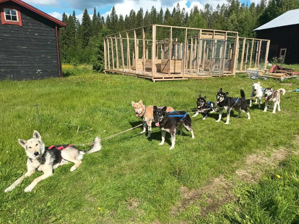 VitaNorse AB, Älglund