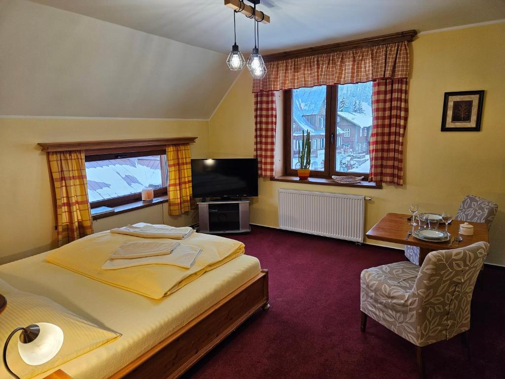 Studio Apartment with Mountain View