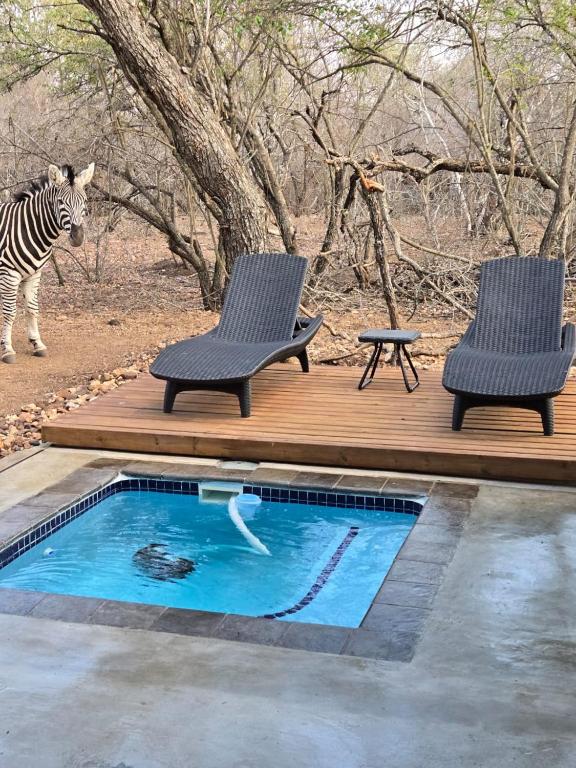 Ratel Katel, Marloth Park