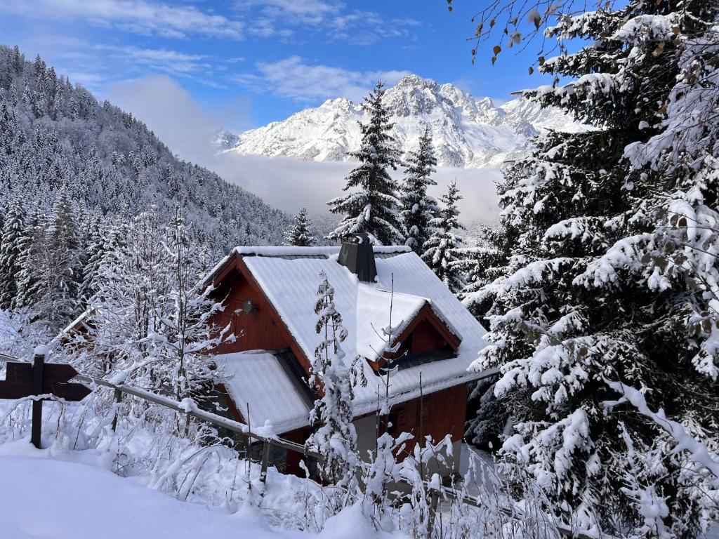 Chalet Bellevenoz by OzAlpes - 3