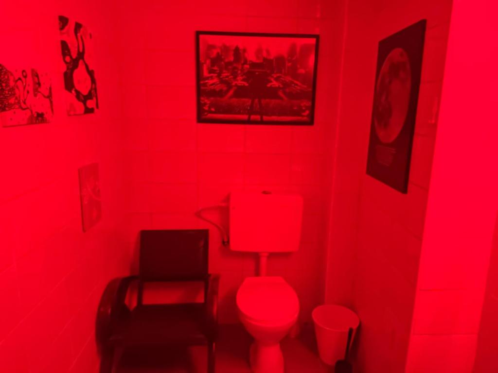 Between the sails, Haifa