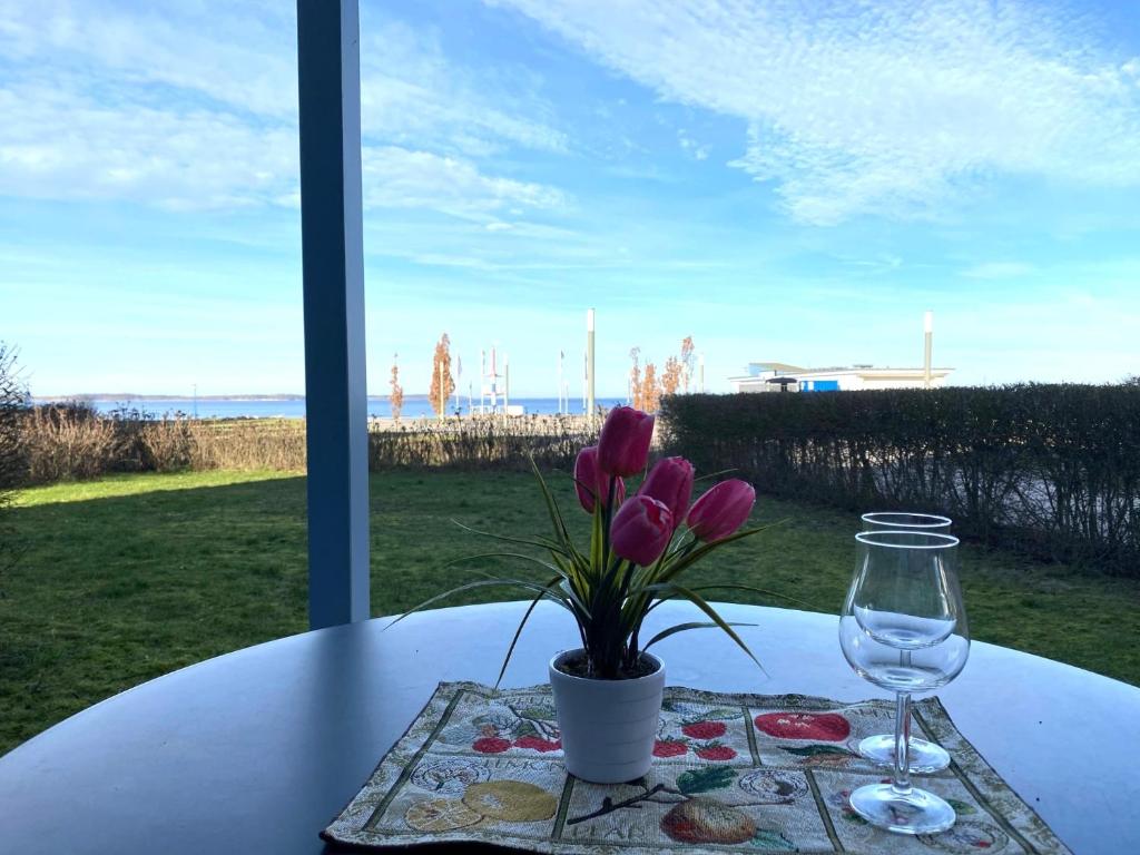 Gartendeck 442, Rechlin