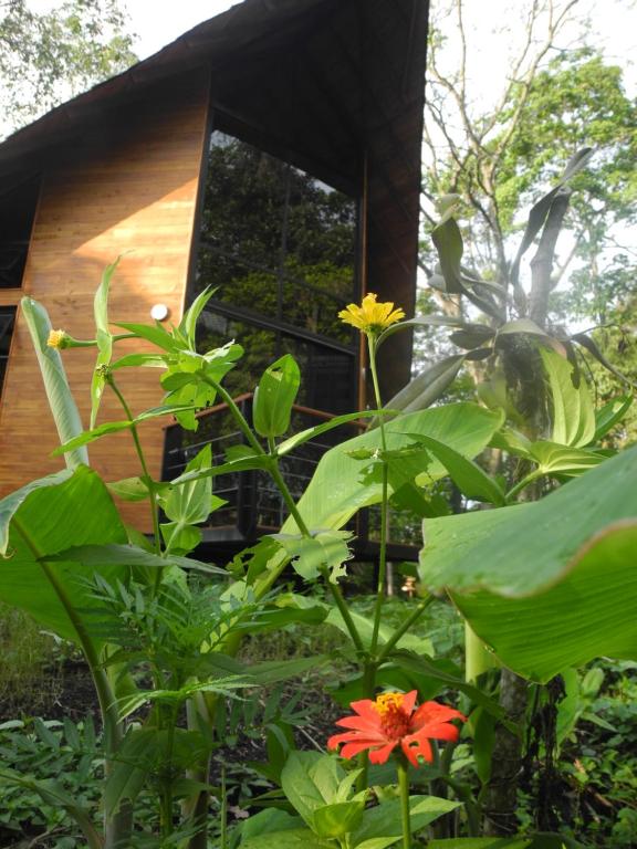 Mogambo Ecolodge - 2