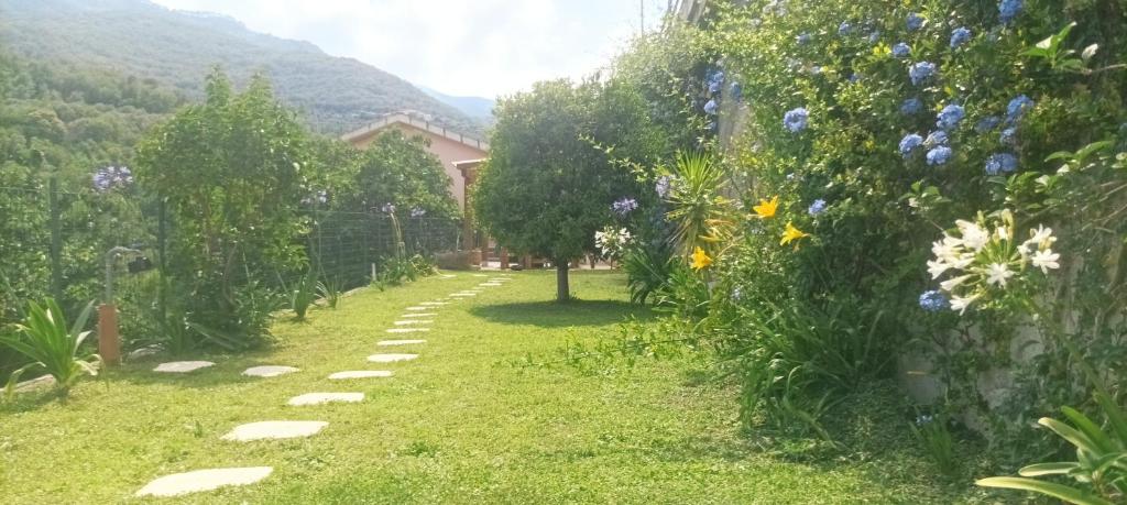 Iris Casa Vacanze, Stellanello