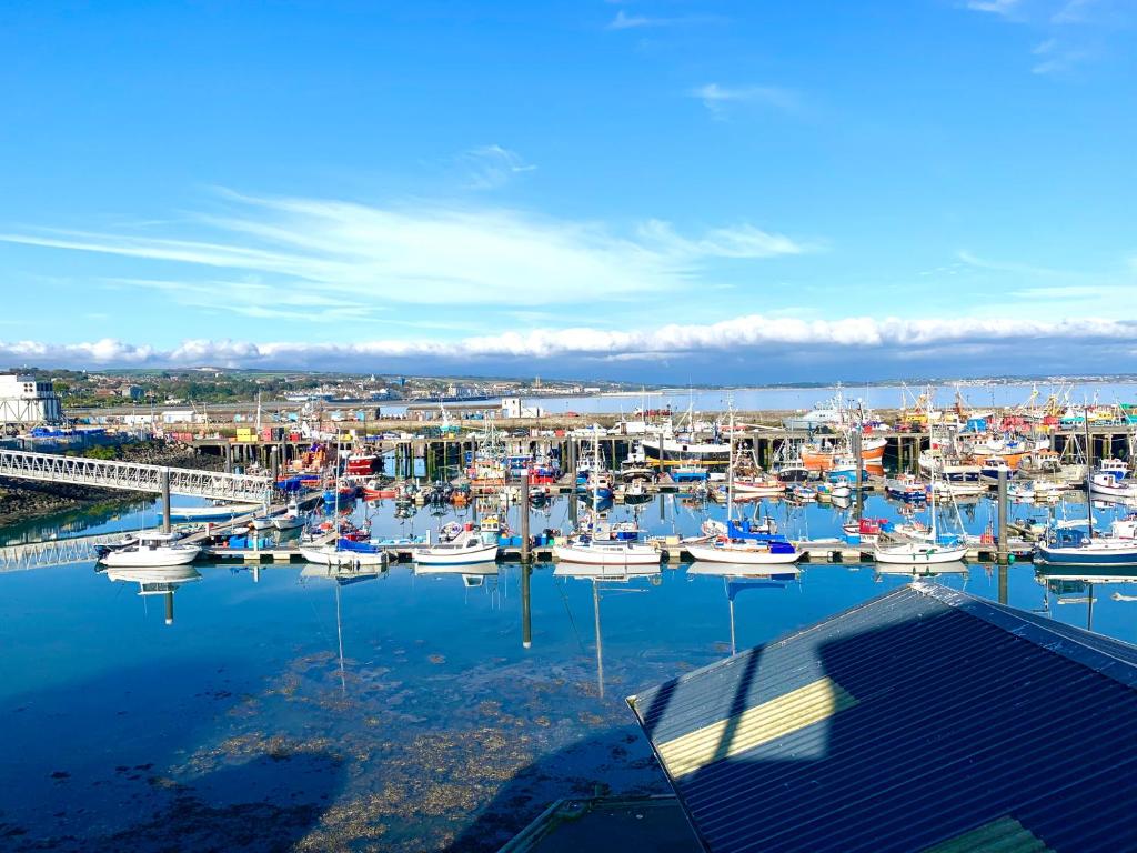 Newlyn Harbour Cottage photo 8