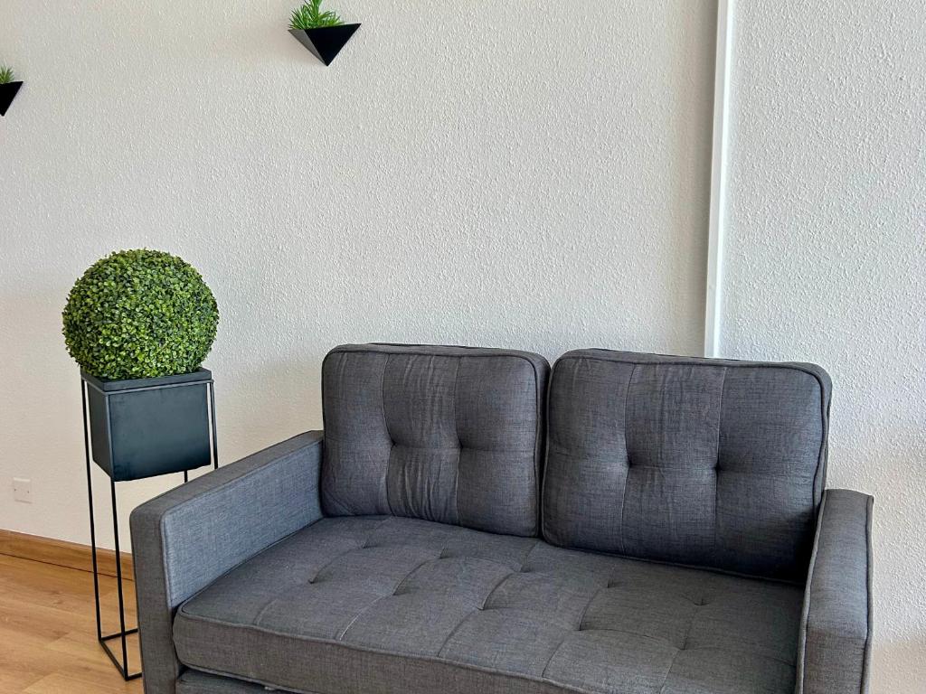 Studio confortable avec vue mer, animaux acceptés - FR-1-652-48 - 4