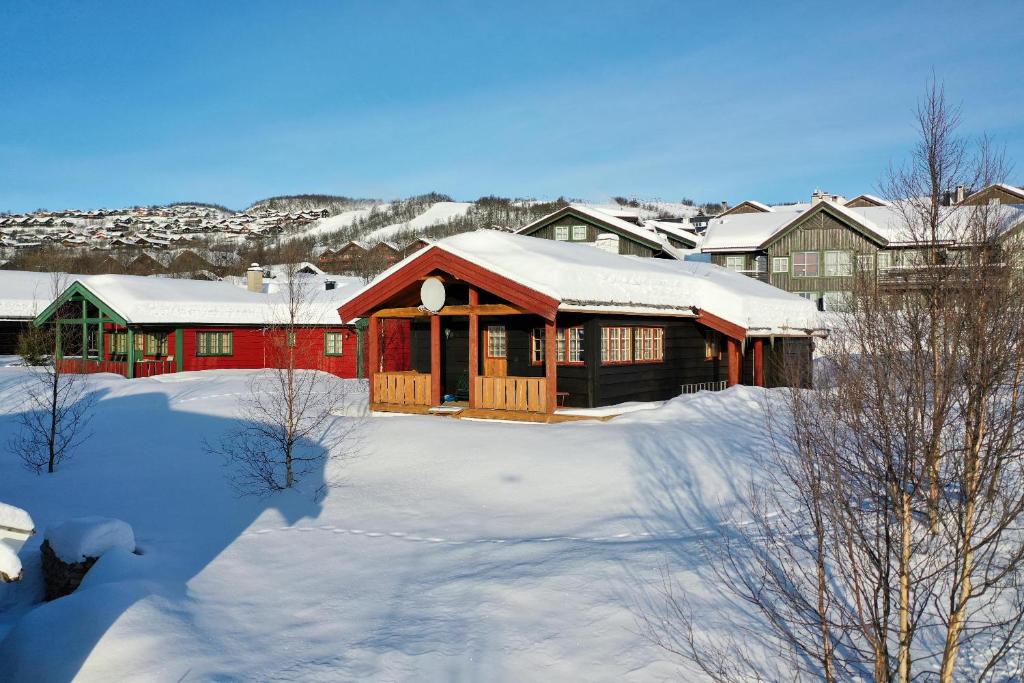 Nostalgic Cabin with 3 BR, Fireplace, and Terrace, Beitostøl