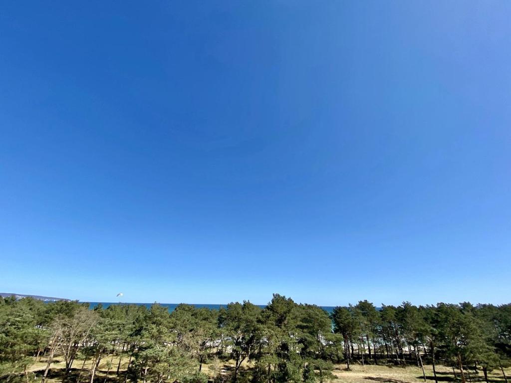 Surrounding environment