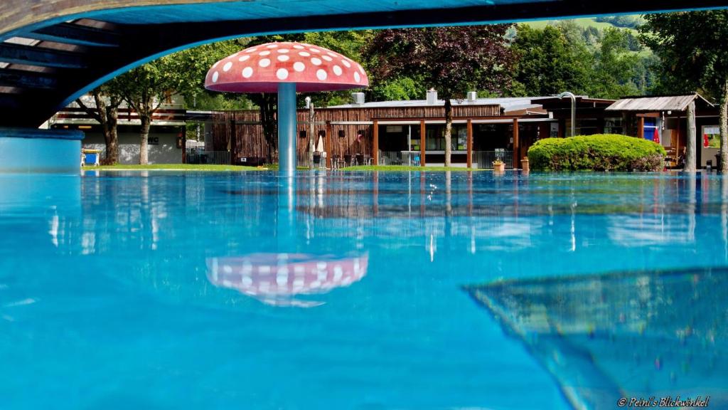 Camping am Waldbad, Dellach im Drautal - 5