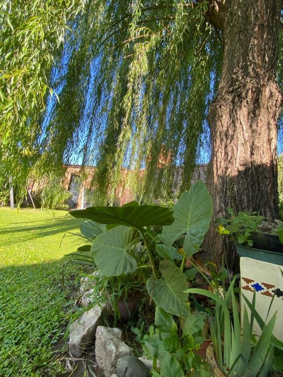 Chalet espectacular - 4