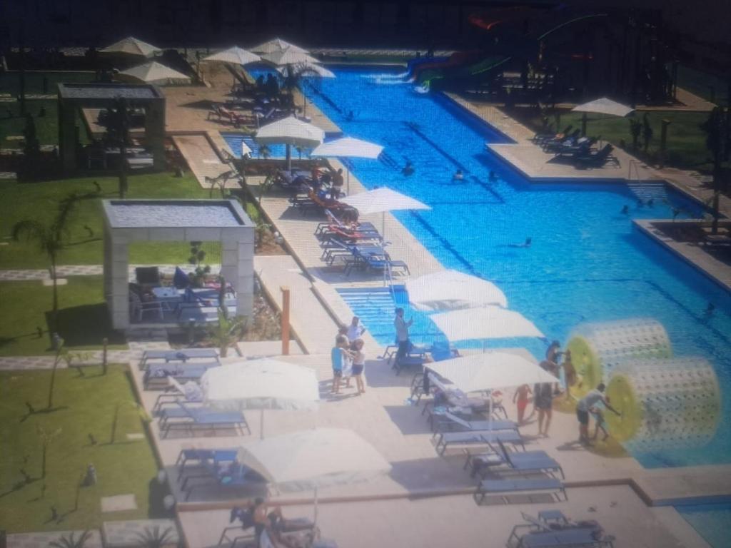 スイミングプール