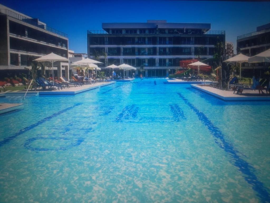 スイミングプール