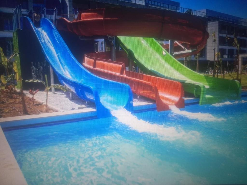 スイミングプール