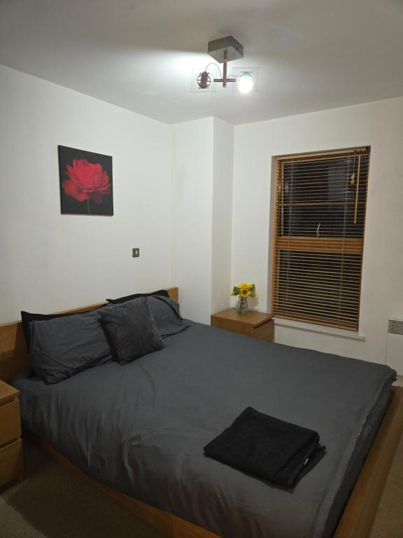 Cosy 2 bedroom apartment, Manchester