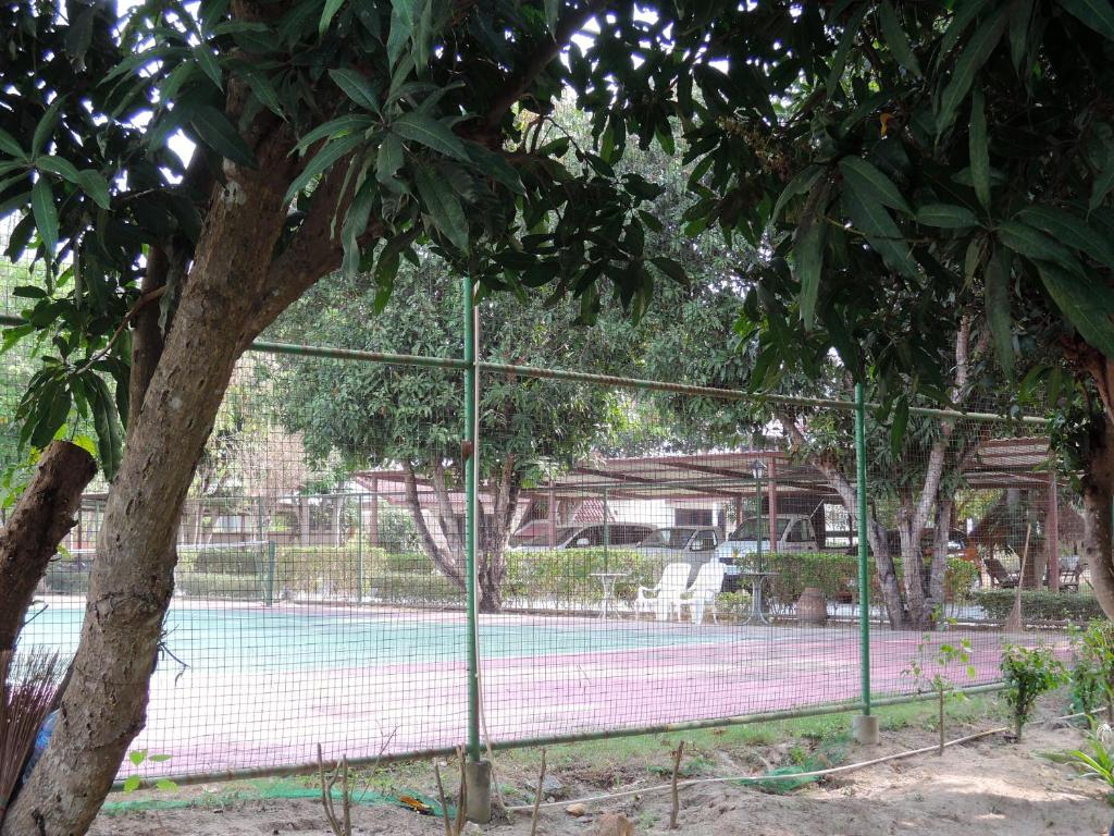 Tennis court