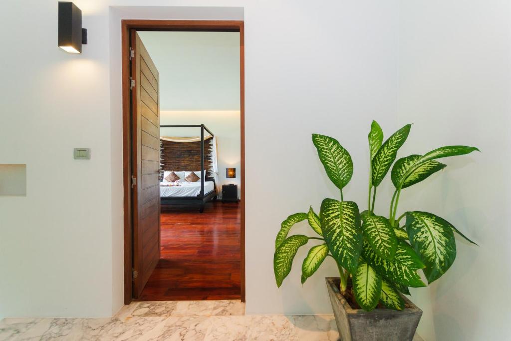 Mojito Residence Phuket photo