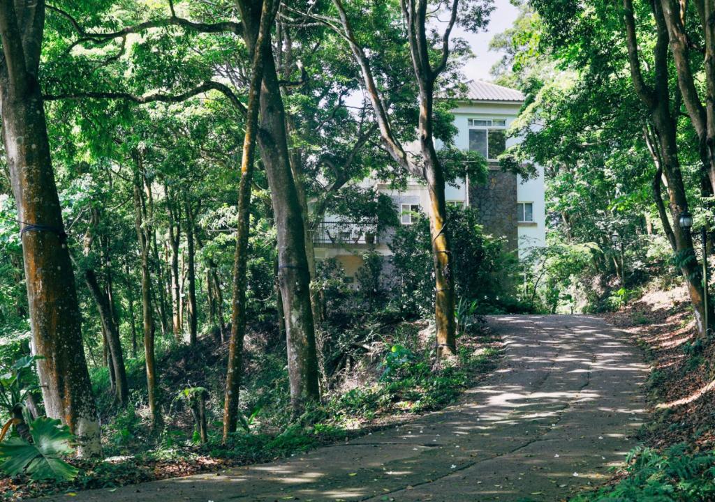 Exterior view