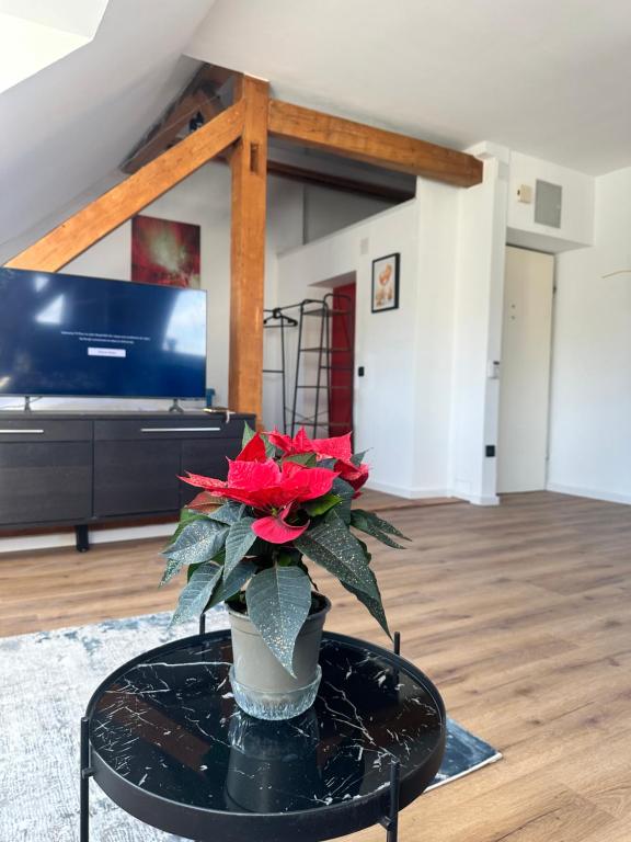 Apartament Salzburg mit Untersberg Ausblick - 1