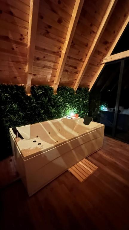 Wellness Borealis - 4