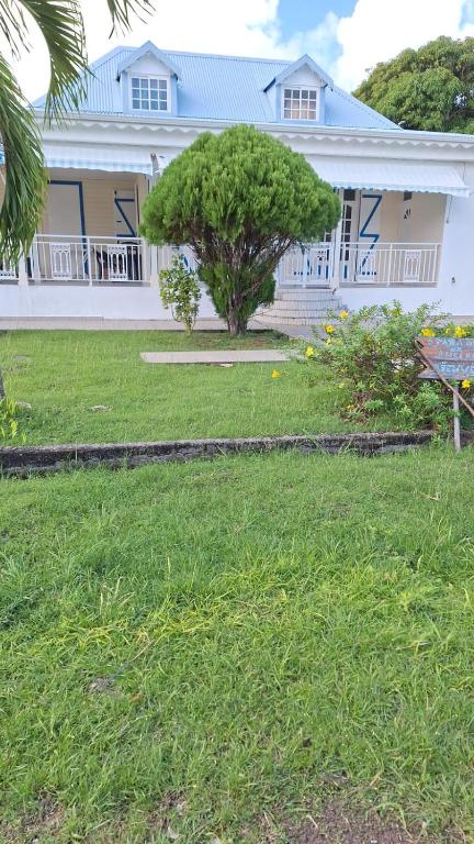 Ô paradis de Lucile, Saint-Louis