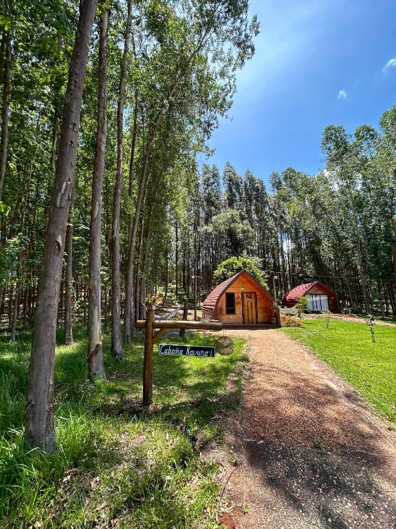 Cabañas Mi Querido Viejo, Doctor Juan León Mallorquín