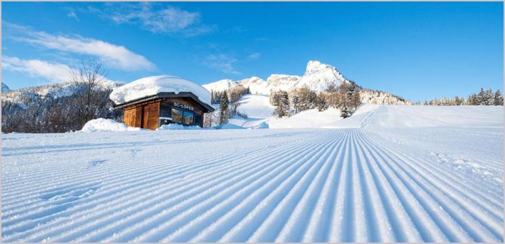 Loderbichl Alm Ferienwohnungen - 4