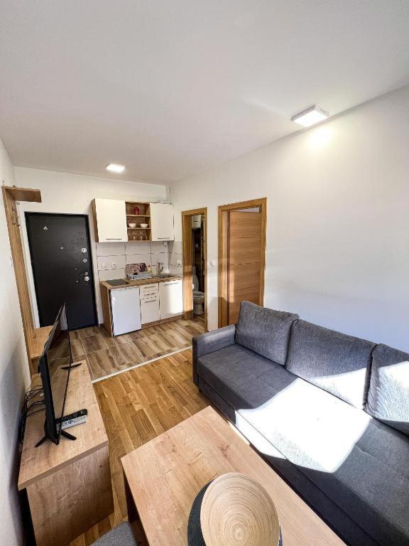 Srebrena Vila apartman 1 Jahorina - 1