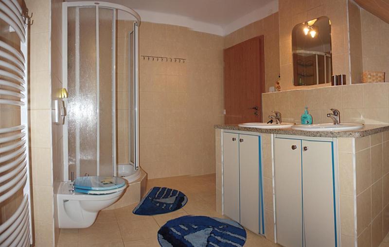 Apartment Na Rozcesti photo