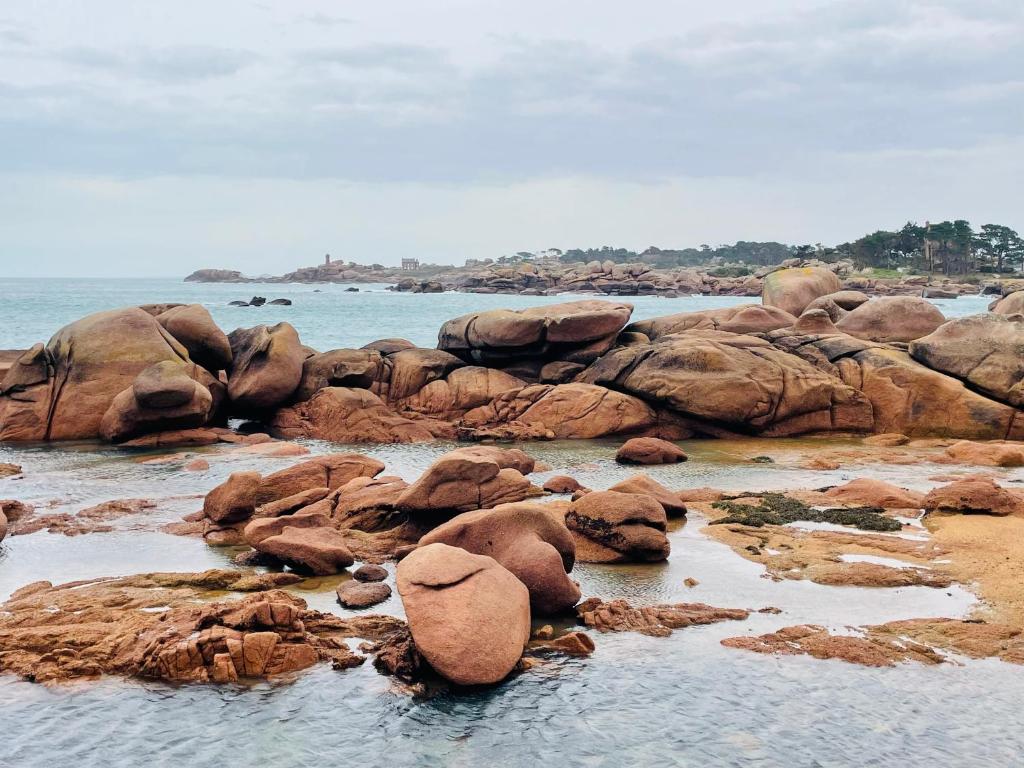 周辺観光スポット