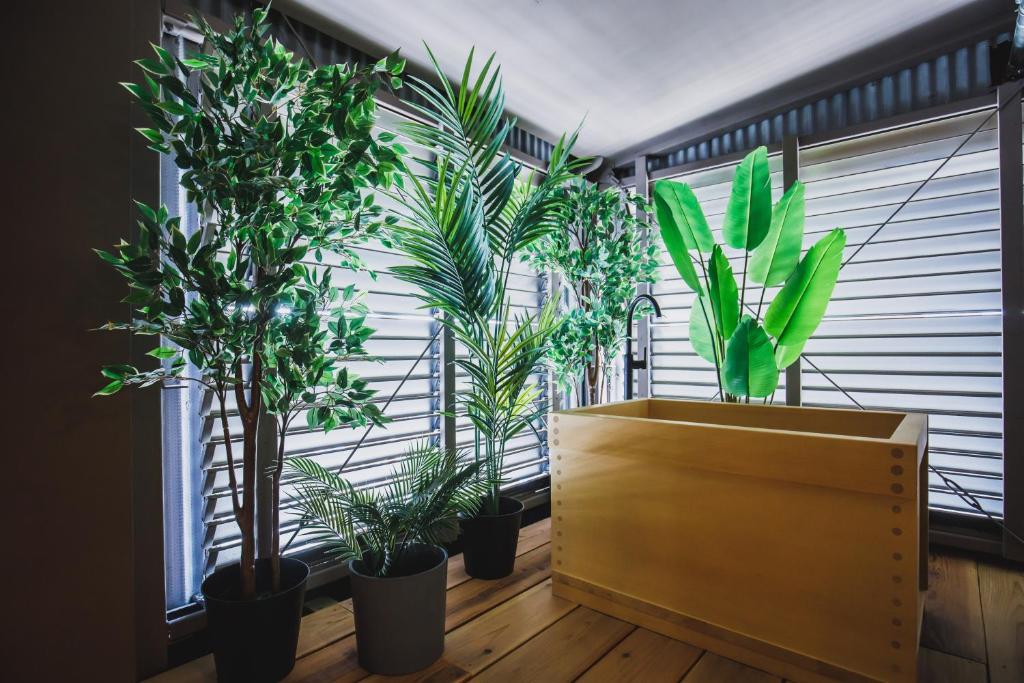 R Residence 天下茶屋 IV