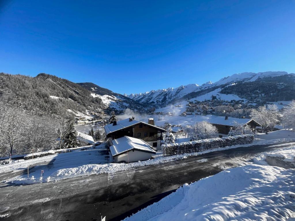 Richemont 10 - proche pistes et belle vue - 3