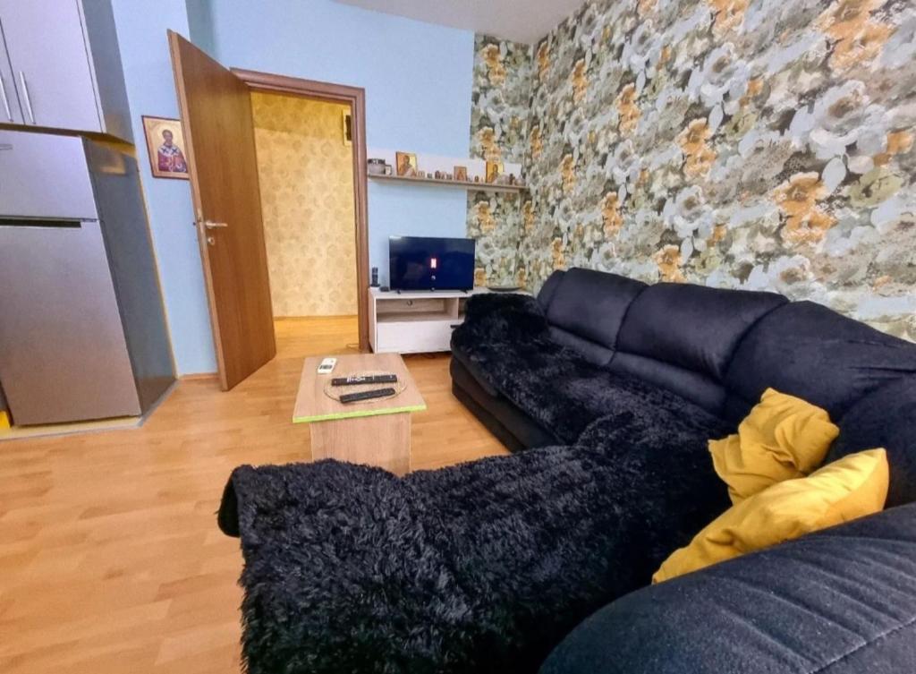 Apartman Teodora - 2
