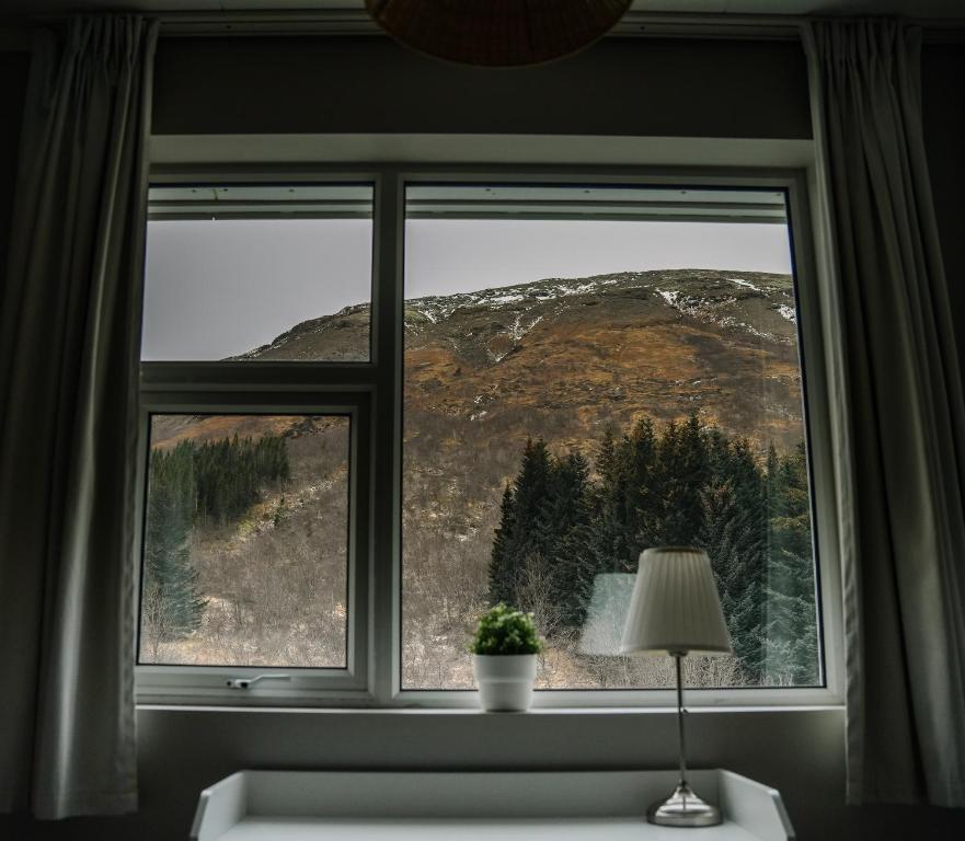 View