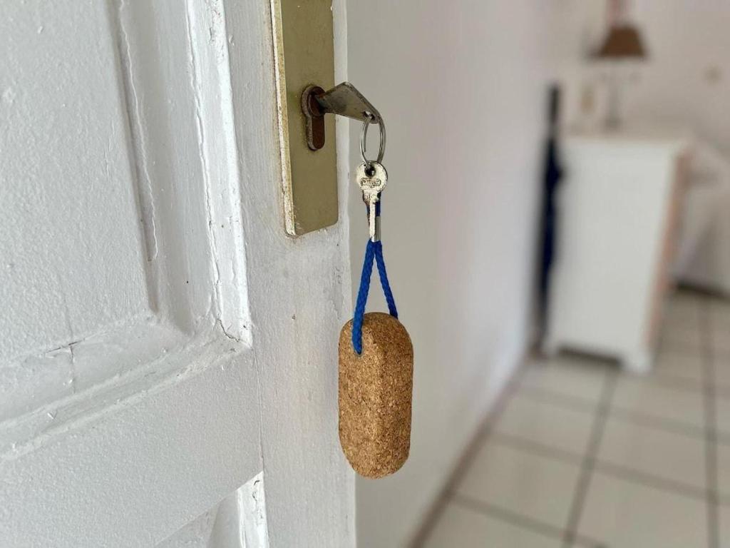 Appartements CHEZ COCO, Terre-de-Haut