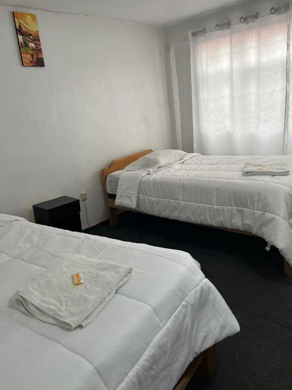 ENEDE HOSTEL - 5