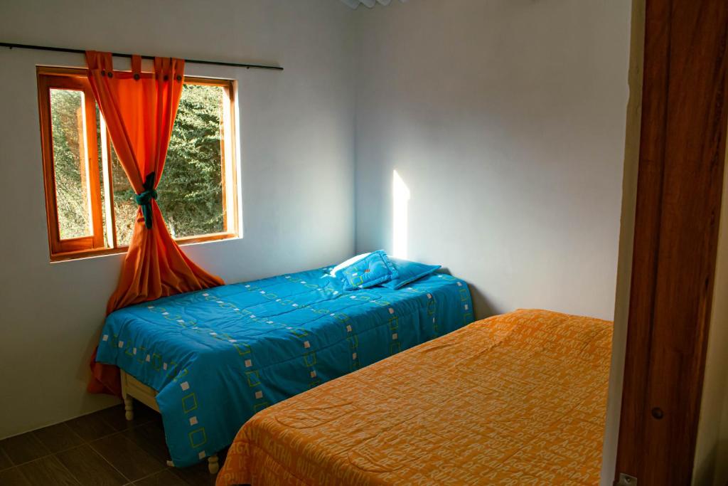 La casita de Elvia - 4