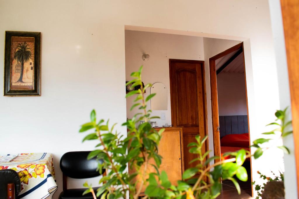 La casita de Elvia - 3