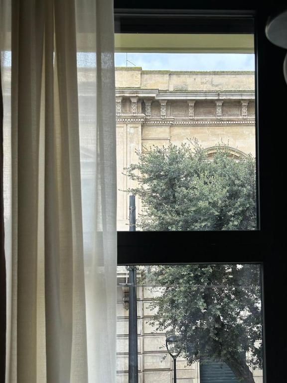 Villa Della Lupa Luxury Rooms - 3
