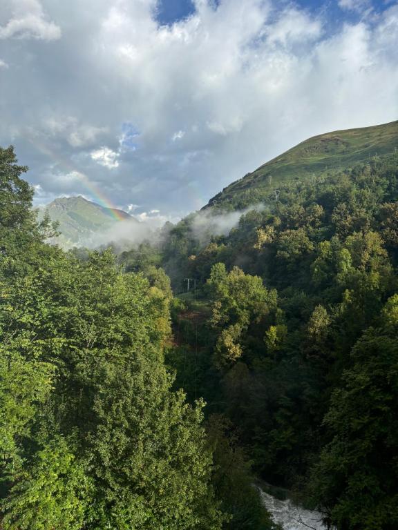 Studio Nid sur la Cascade, Eaux-Bonnes