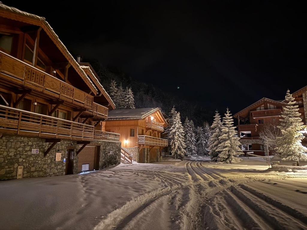 Appartement neuf haut de gamme esprit chalet à Méribel - 4 couchages - 1