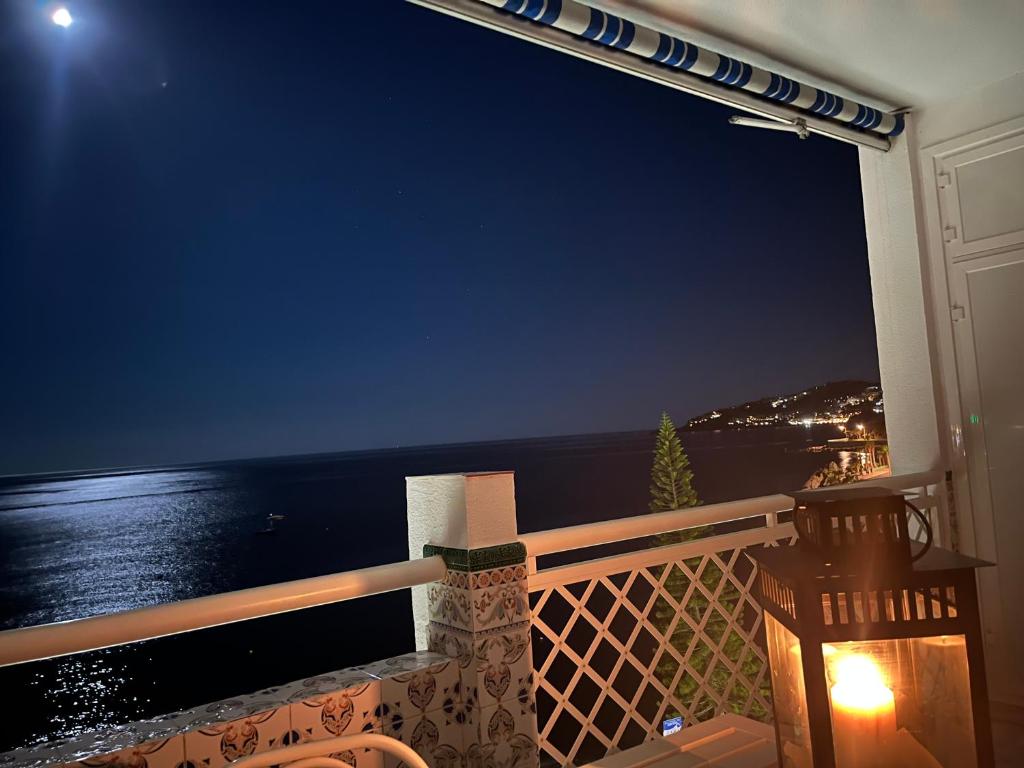 DELFIN best VIEWS - 4