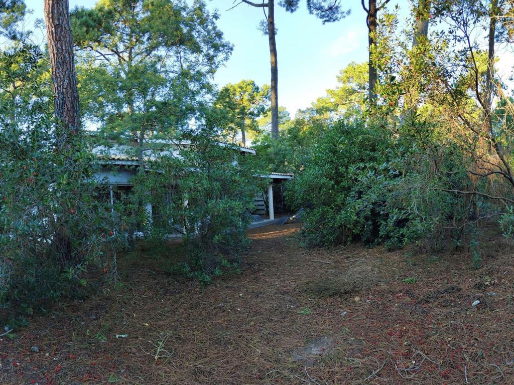 Villa en lisière de forêt avec jardin, à 1,5 km de l'Océan, idéale pour des vacances reposantes - 2