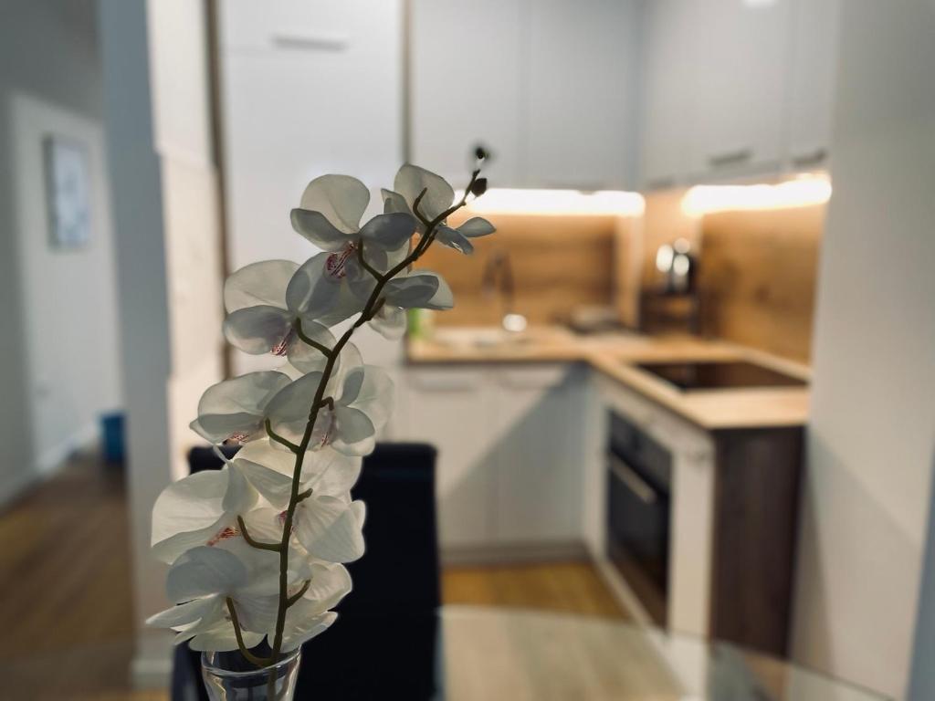 Apartman Tayra Jahorina - 2