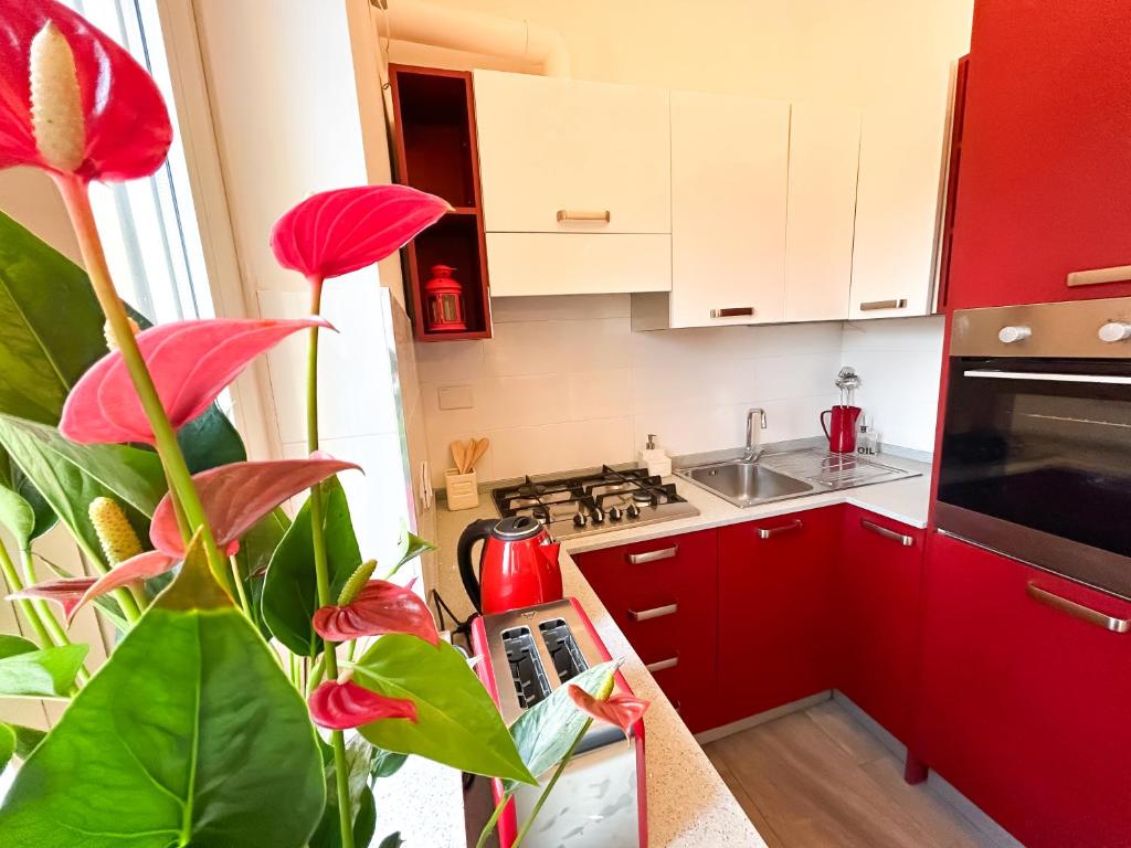 Casa Tigrè - 5