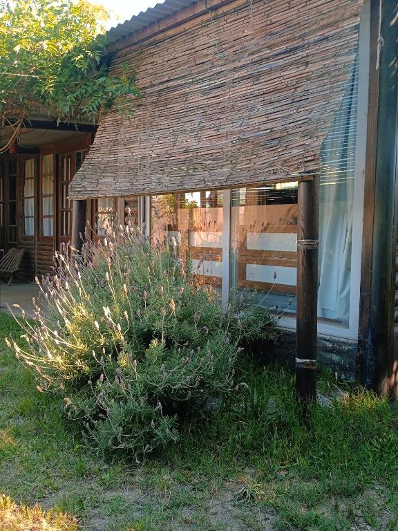 La paloma monoambiente para 4 sabanas y wifi - 4