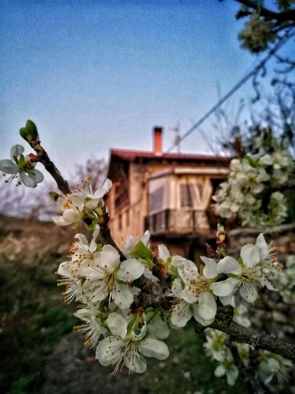BIDEARTEAN, Caserío vasco, Recién reformado, Záitegui