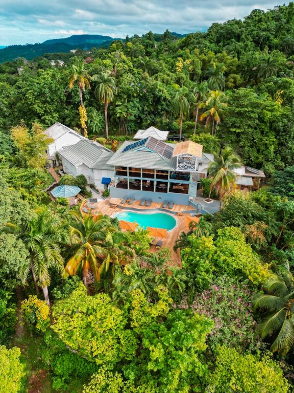 LF Jungle Retreat, Port Antonio