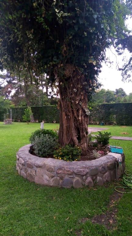 ESCAPADA PERFECTA EN YALA CASA COn PILETA QUINCHO Y ENTORNO NATURAL - 4